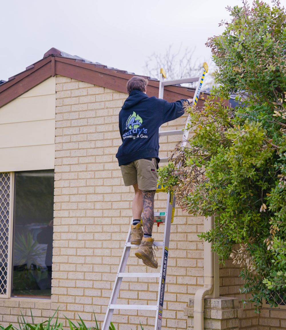 Birdy's technician climbing up to a rooftop evap unit